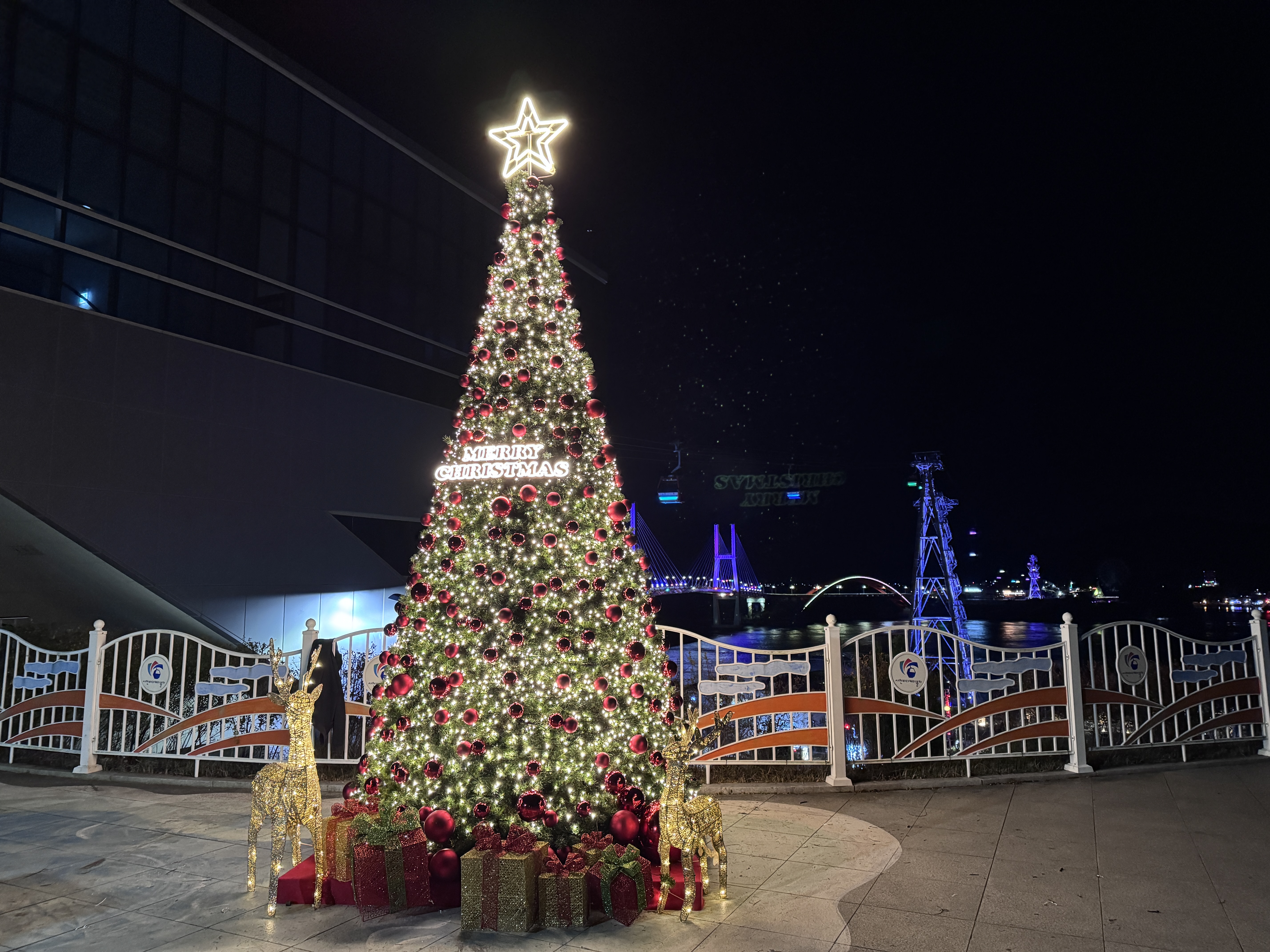 2025년 크리스마스 트리 